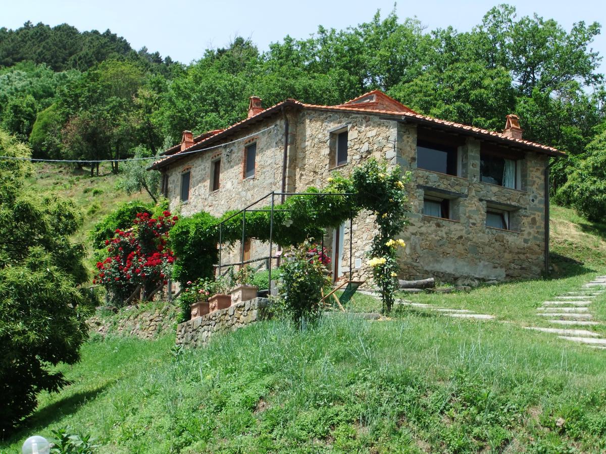 Fattoria Di Pietrabuona Daire Pescia Dış mekan fotoğraf